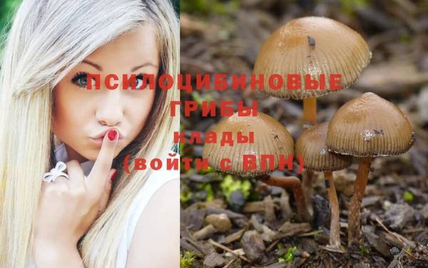 ALPHA-PVP Армянск