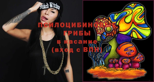 круглые Аркадак