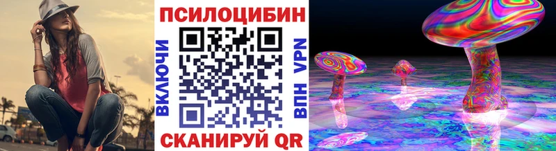 Купить где  Суздаль  Галлюциногенные грибы Magic Shrooms 