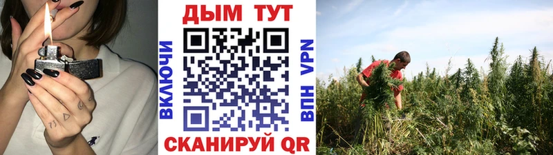 Бошки марихуана MAZAR  Купить  Суздаль 