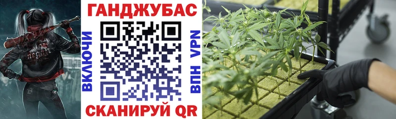 Канабис MAZAR Суздаль